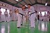 nidan (214)_samu.gif